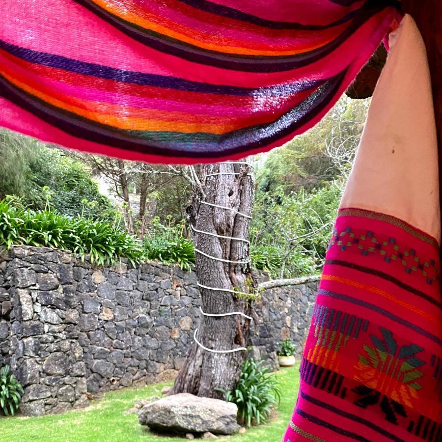 Cabana Del Rio Huasca de Ocampo Værelse billede